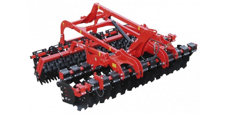 Gepard_5.jpg